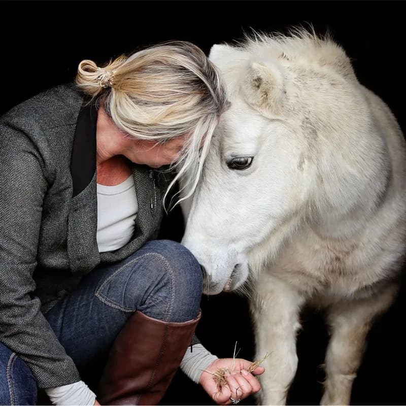 Colleen Long, Founder of PetRehomer